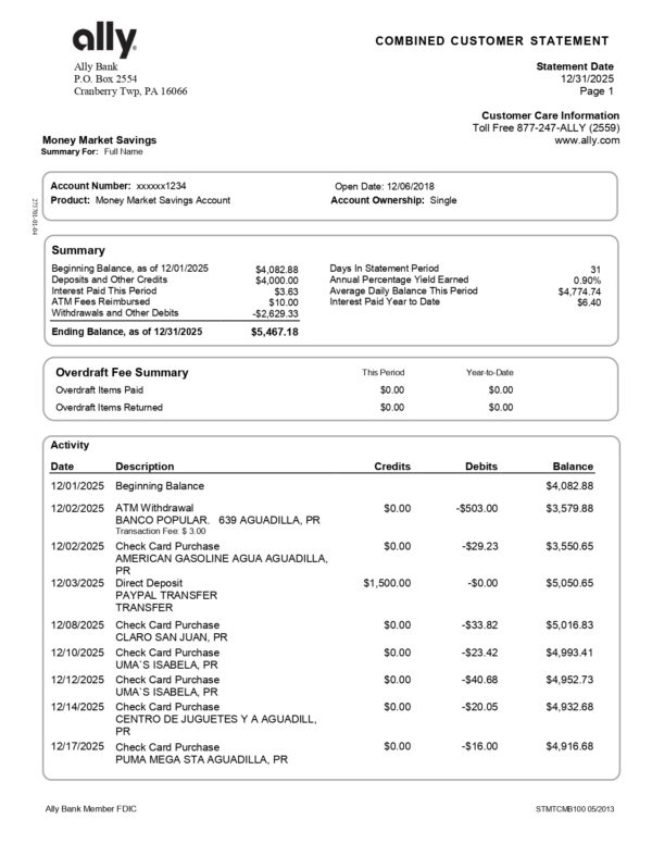 Ally Bank Statement