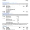 American Express Bank Statement - AMEX