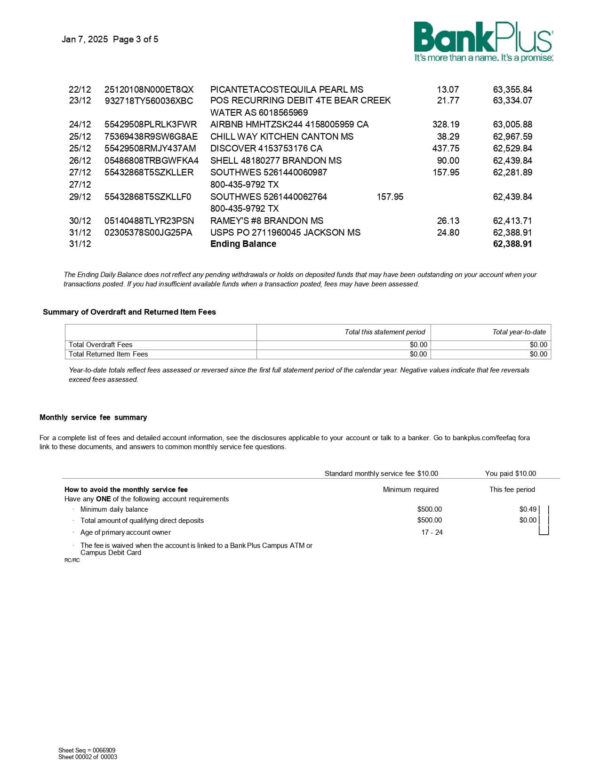 Bank Plus Statement