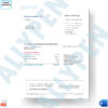 Bank of America Statement - Business Advantage Checking