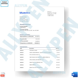 BlueVine Bank Statement