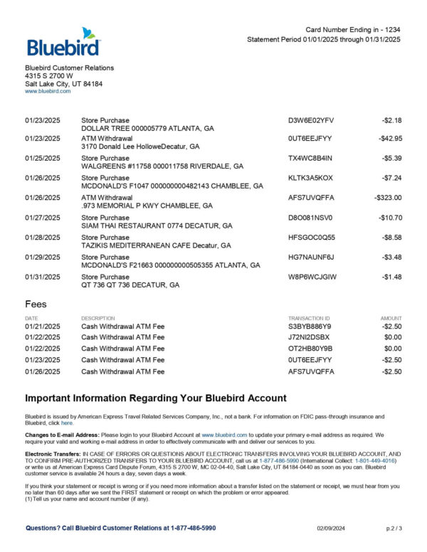 Bluebird Bank Statement