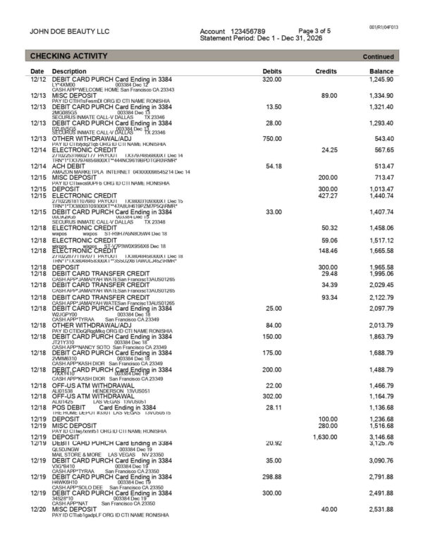 Citi Bank Statement - Business Account
