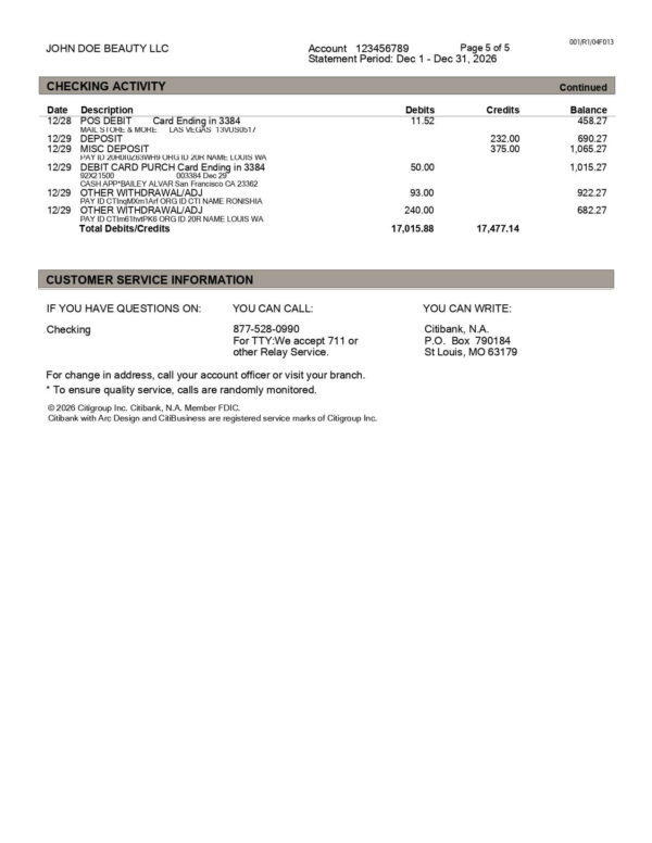 Citi Bank Statement - Business Account
