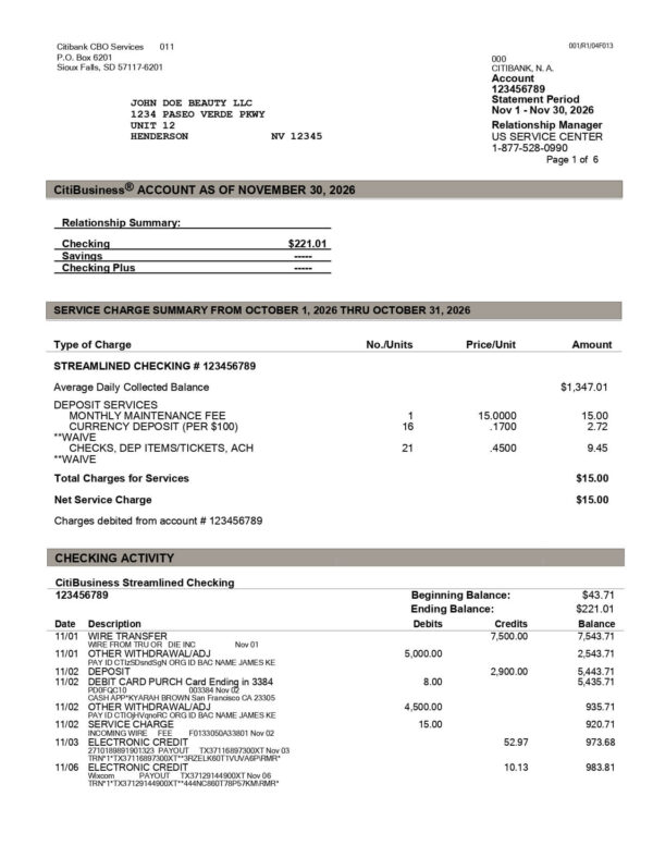 Citi Bank Statement - Business Account