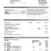 Citi Bank Statement - Business Account