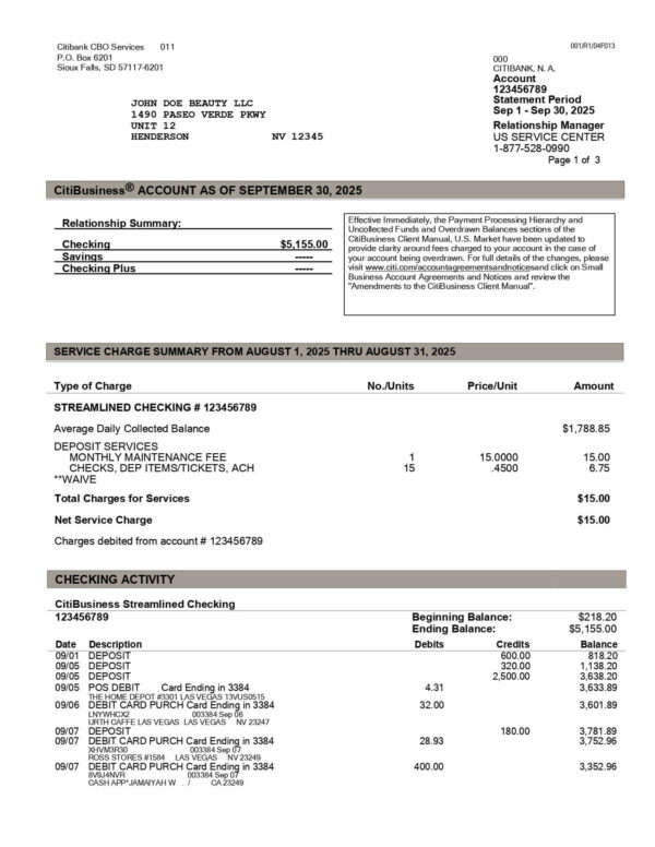 Citi Bank Statement - Business Account