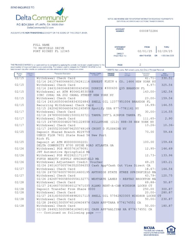 Delta Community Credit Union Statement