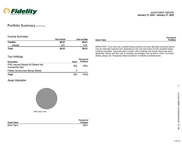 Fidelity Bank Statement