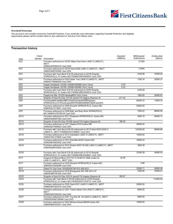 First Citizens Bank Statement