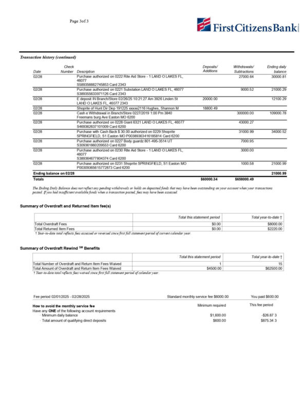 First Citizens Bank Statement