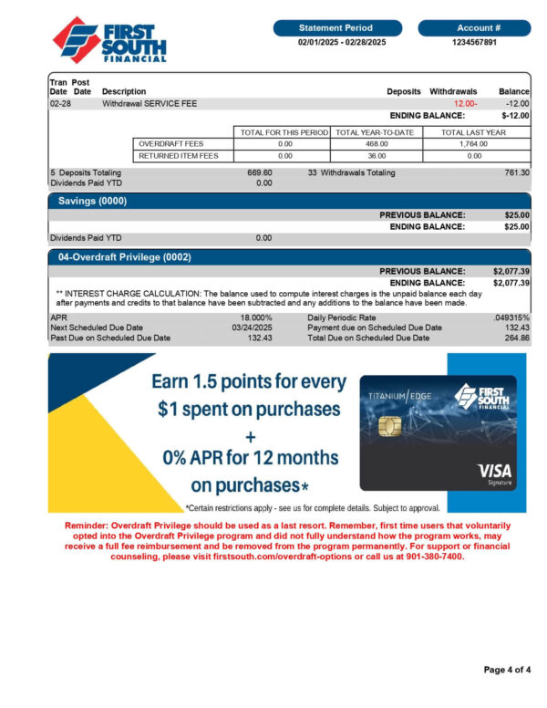 First South Financial Credit Union Statement