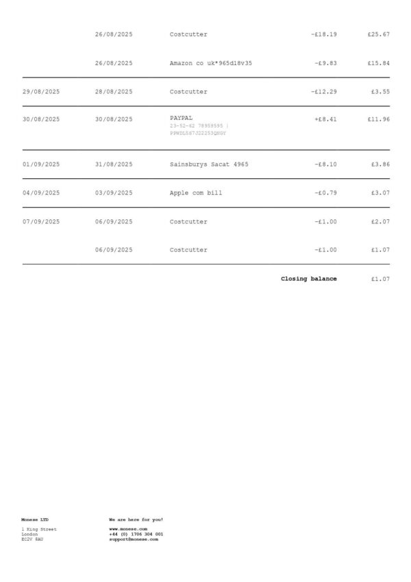 Monese Bank Statement