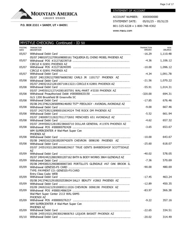 Mountain America Credit Union Statement