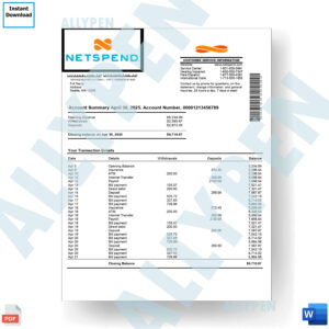 Netspend Bank Statement