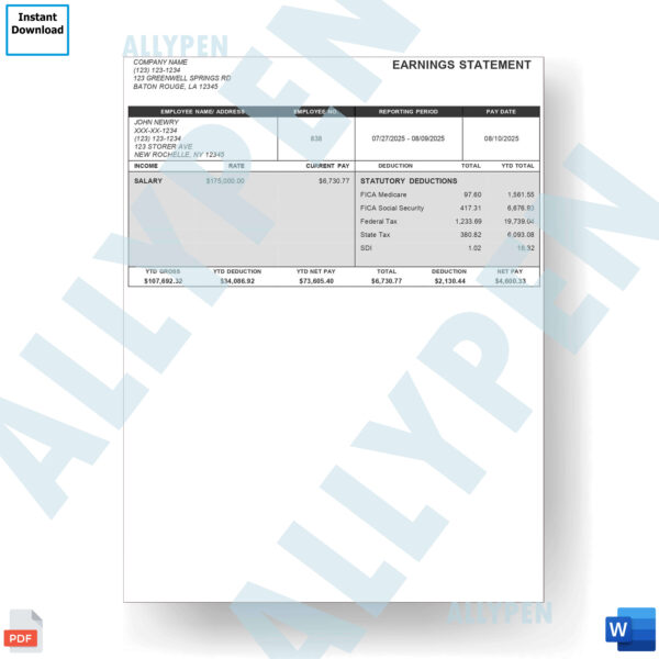 New Paystub Template