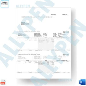 Editable Paystub Template