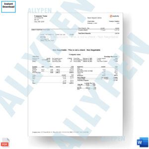 Company Paystub Template